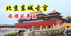 无吗骚鸡巴中国北京-东城古宫旅游风景区